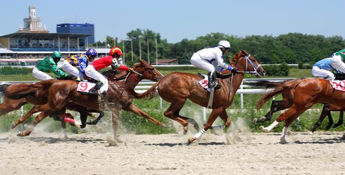 Australian Jockey Guilty of Real Estate and Loan Fraud